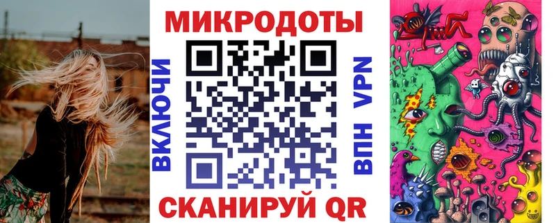 Купить  Бавлы  Галлюциногенные грибы Psilocybine cubensis 